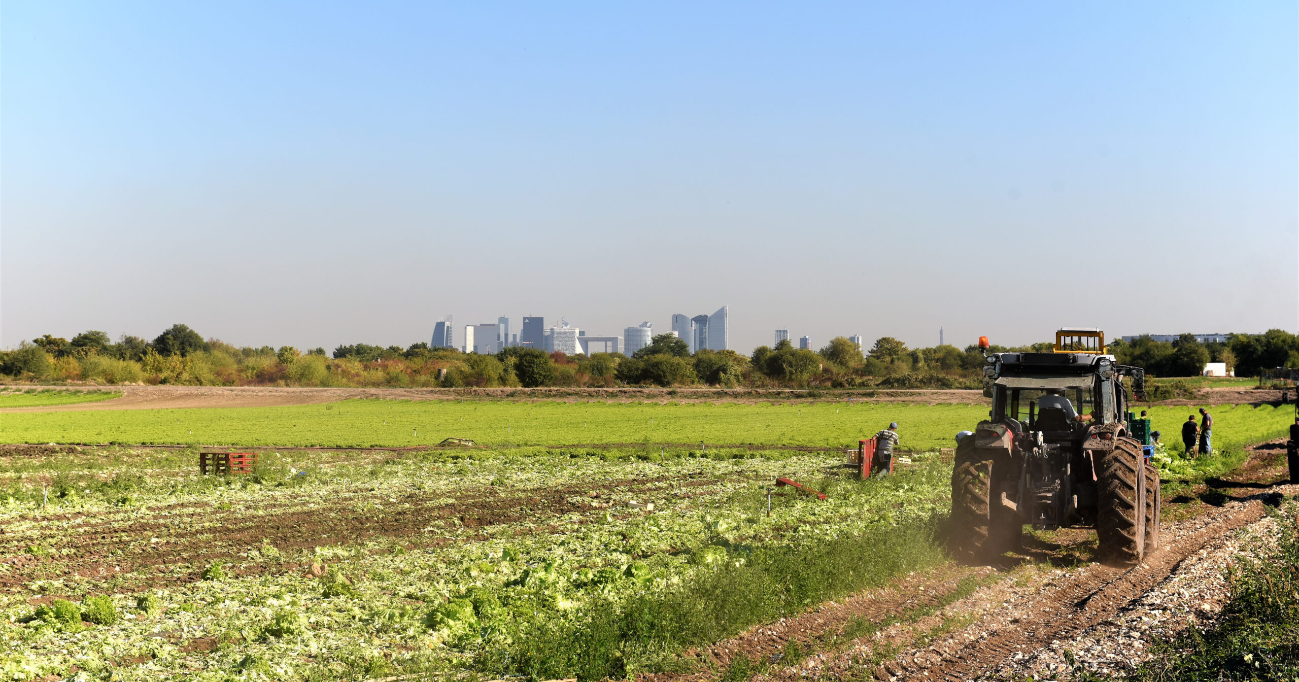 Les Zones Agricoles de la Plaine de Montesson - Communauté d'Agglomération Saint Germain Boucles de Seine